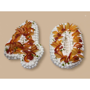 Pavlova Number