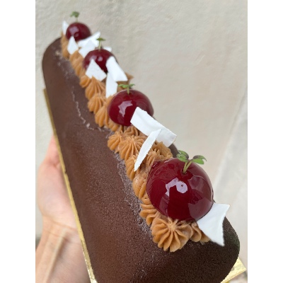 Bûche Sardonne